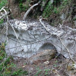 真夏の山でイワナ釣り ～九頭竜川水系～
